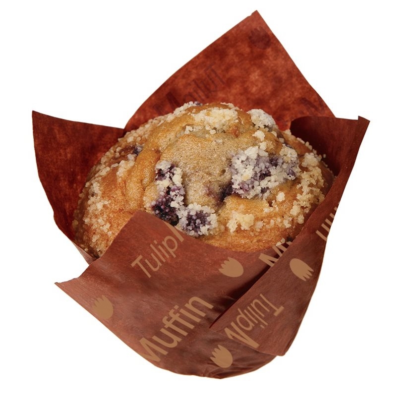 Náhled obrázku artiklu